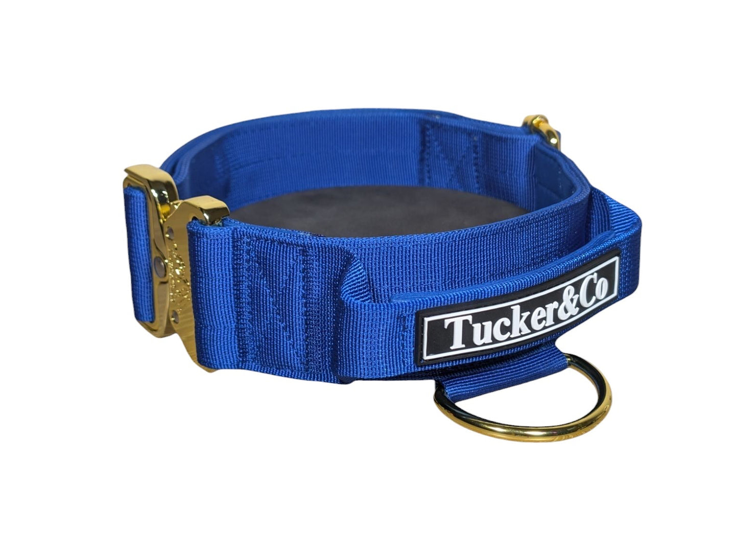 Tucker&Co Royal Blue/Gold Tactical Dog Collar.