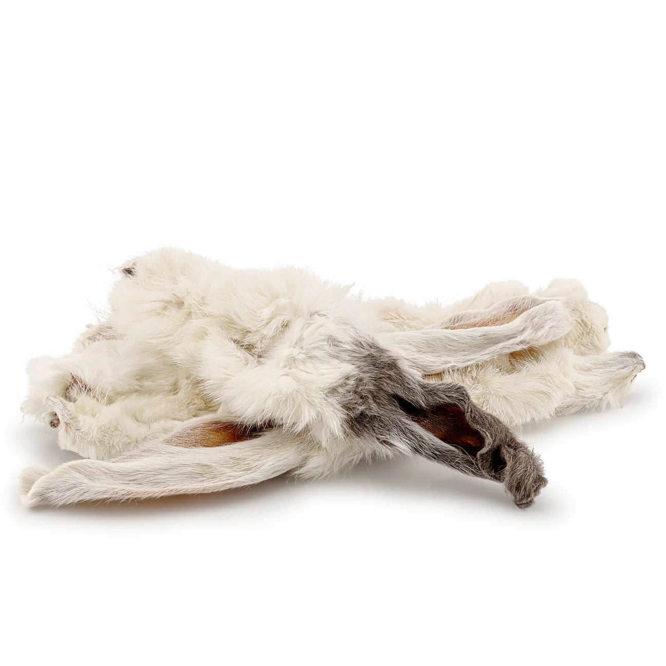 Hairy Rabbit Ears - Pack of 10