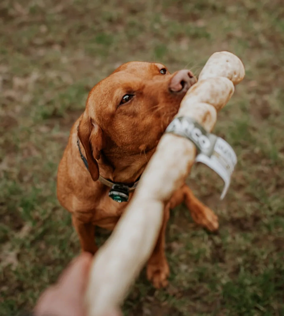 Giant Natural Goat Roll - 40-50cm