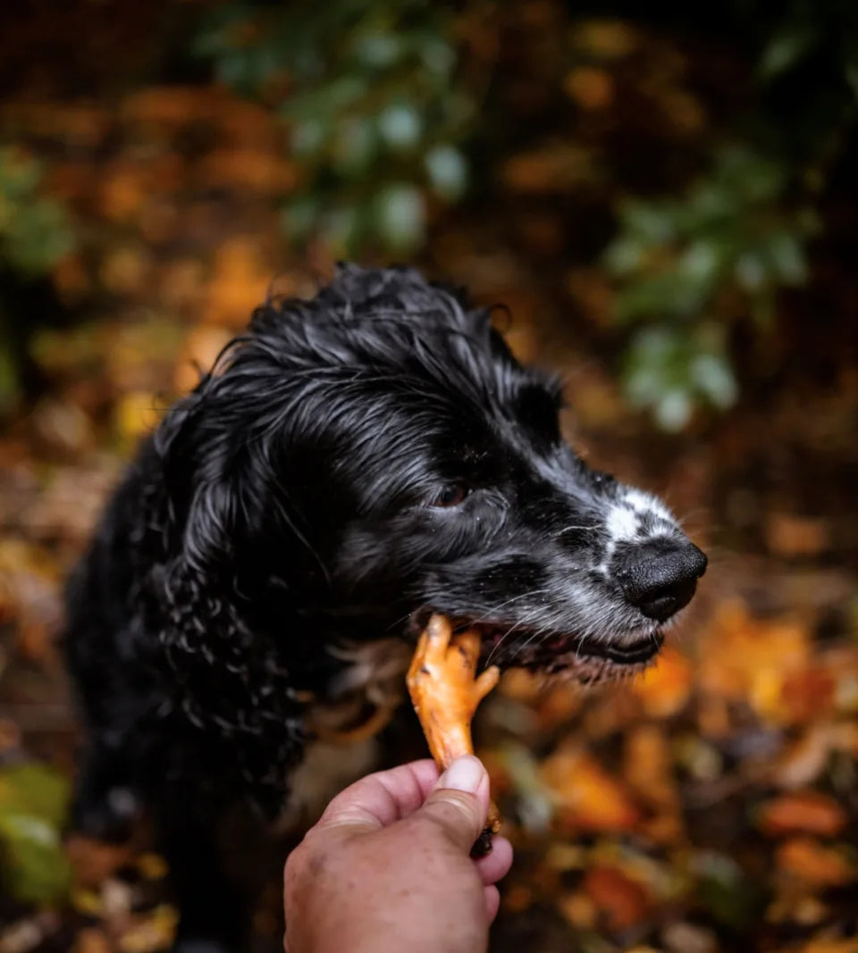 Natural Air Dried Chicken Feet - Pack of 10
