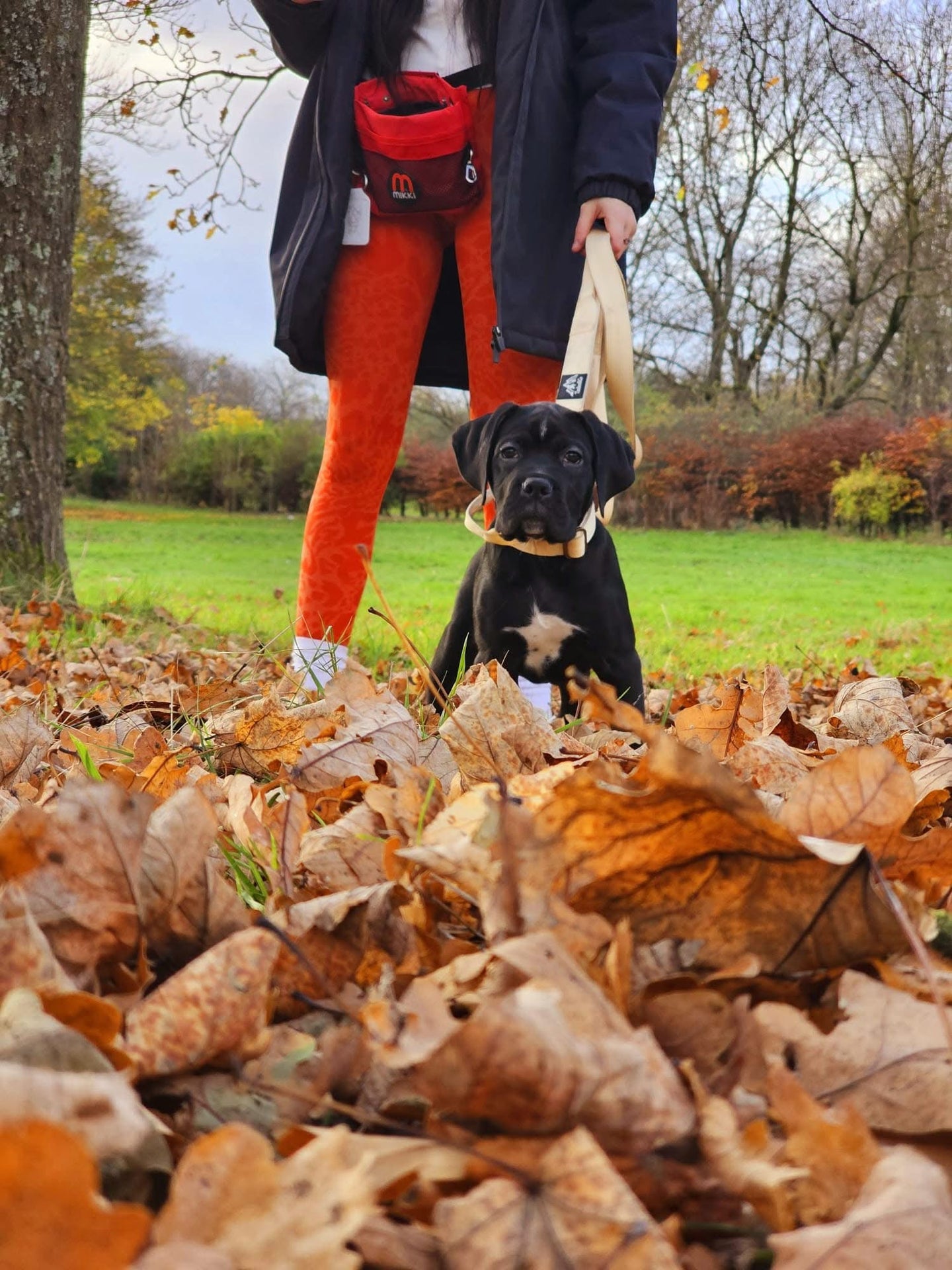 Tucker&Co Vanilla Beige Puppy Collar - 2.5cm