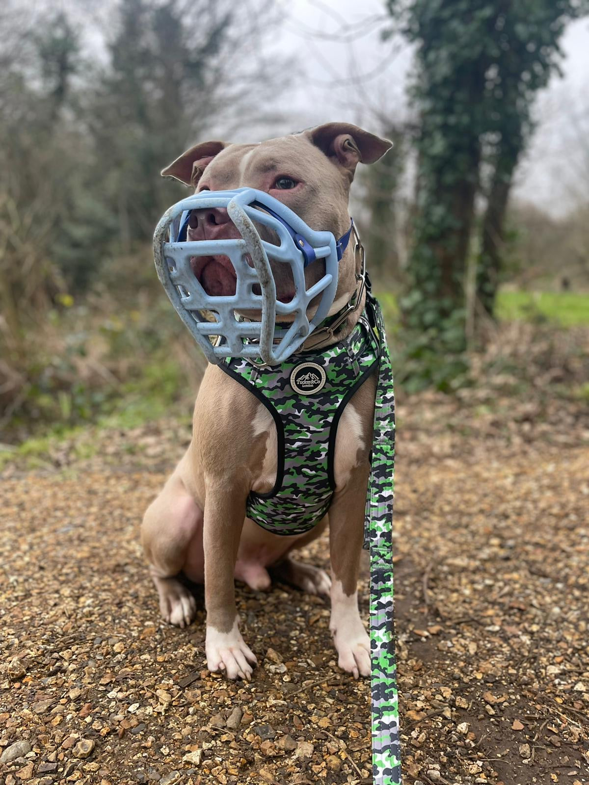 Tucker&Co Camo Lime Green Tactical Dog Harness.