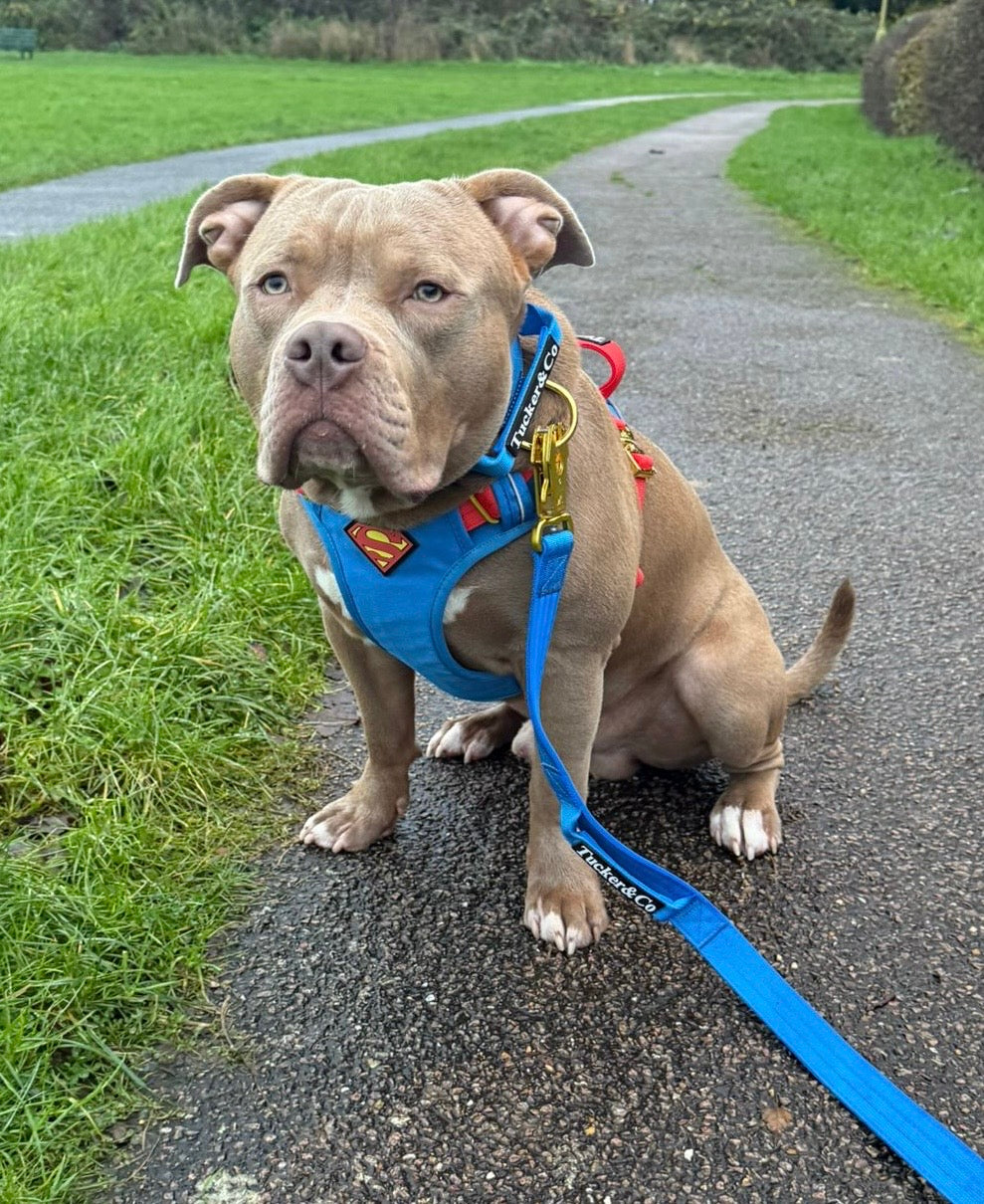 Tucker&Co Limited Edition Superman Full Set