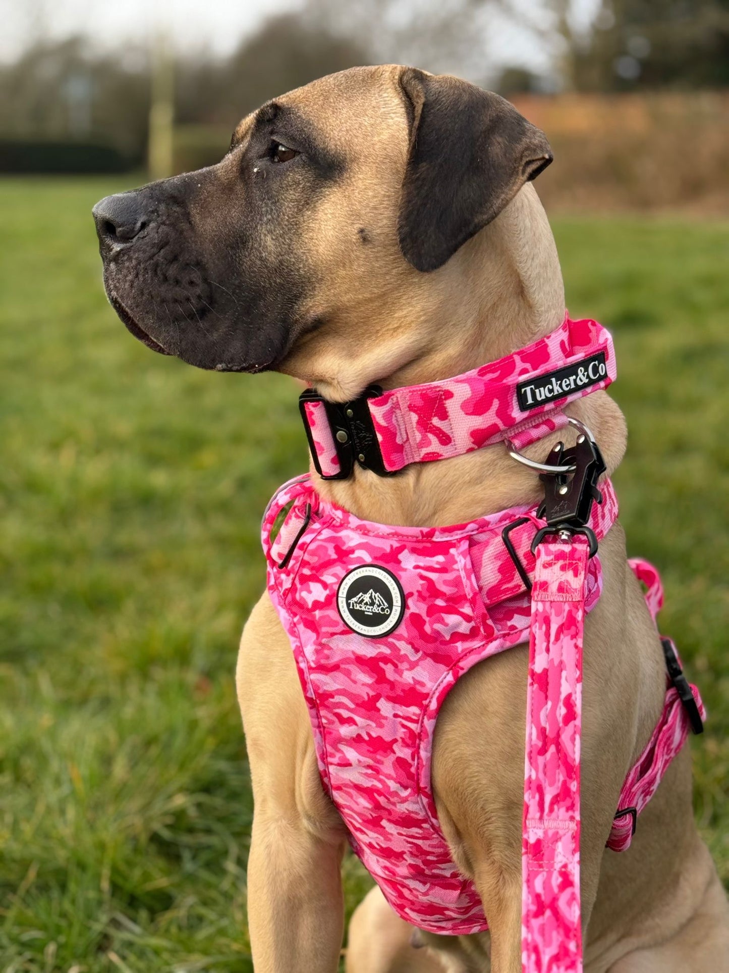 Tucker&Co Camo Pink Doubled Handled Tactical Lead.