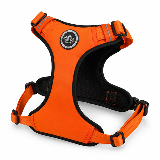 Tucker&Co Orange/Black Tactical Dog Harness.
