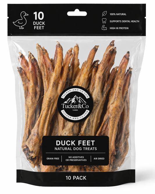 Natural Duck Feet - Pack of 10