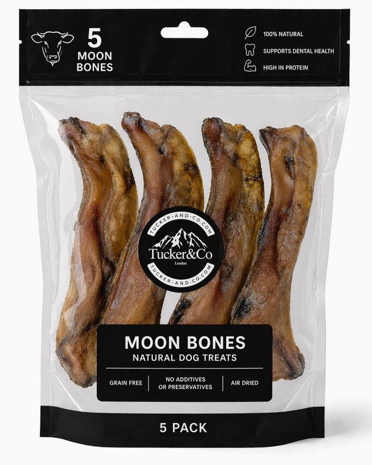 Natural Air Dried Moon Bone - Pack of 5