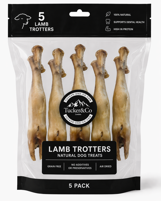 Natural Lamb Leg - Pack of 5