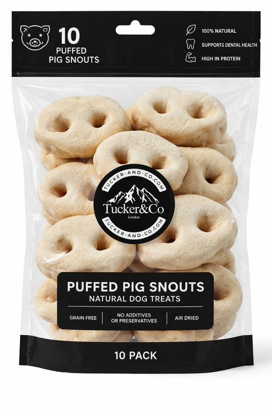 Natural Puffed Pig Snouts - Pack of 10