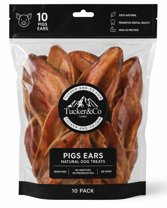 Large Pigs Ears - Pack of 10