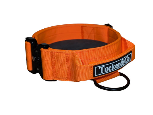 Tucker&Co Orange/Black Tactical Dog Collar.