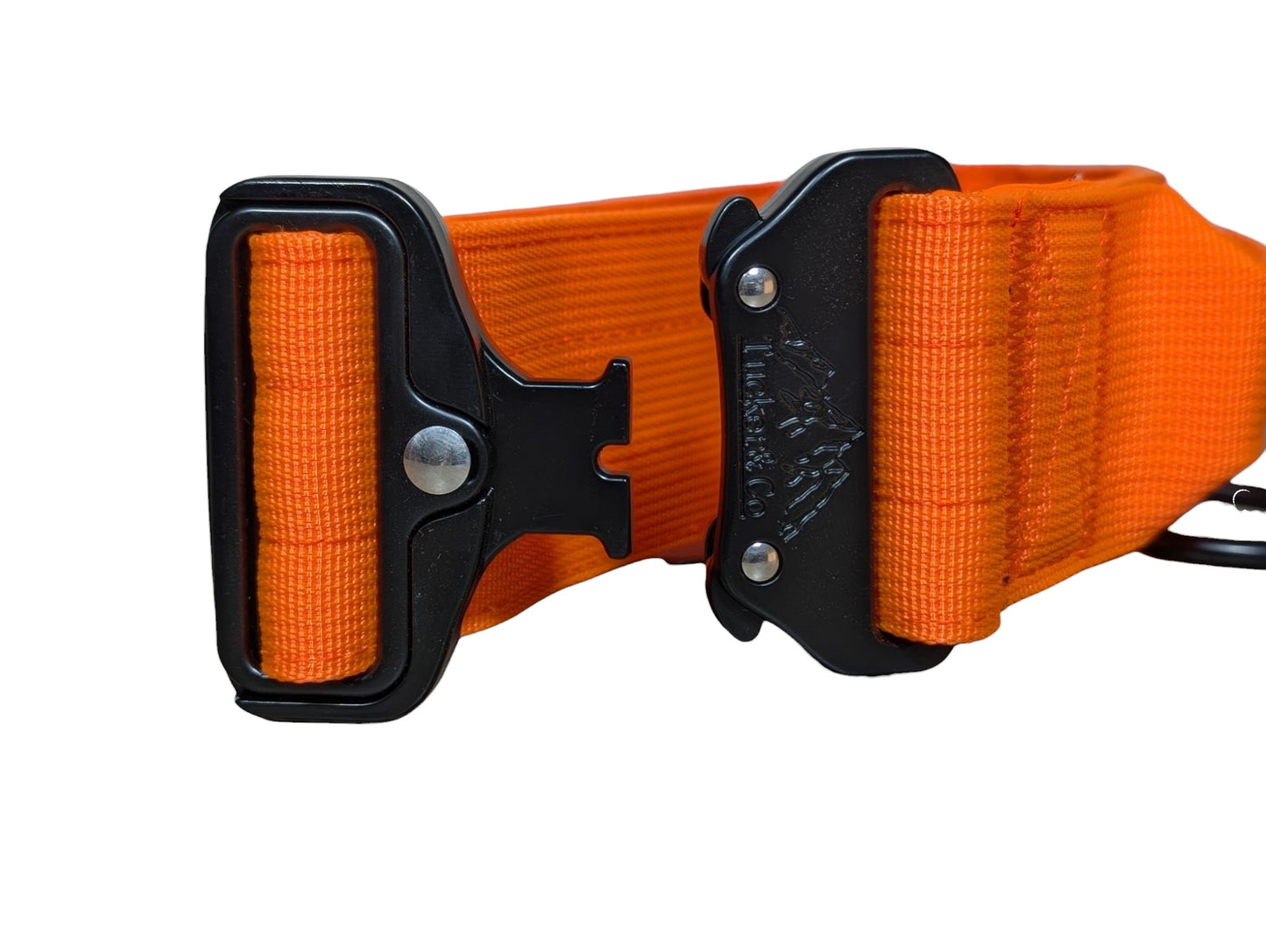 Tucker&Co Orange/Black Tactical Dog Collar.