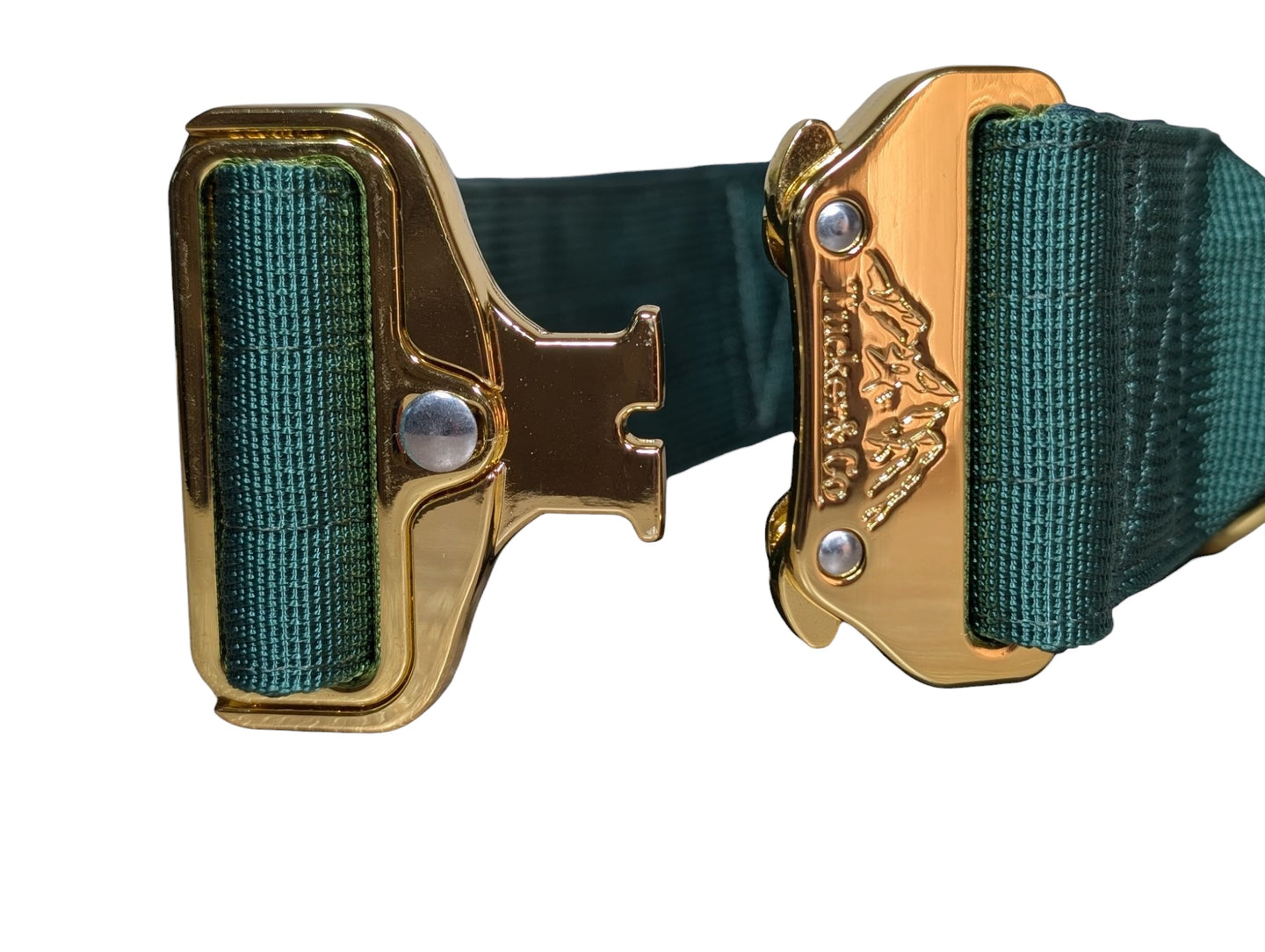 Tucker&Co Emerald Green/Gold Tactical Dog Collar.