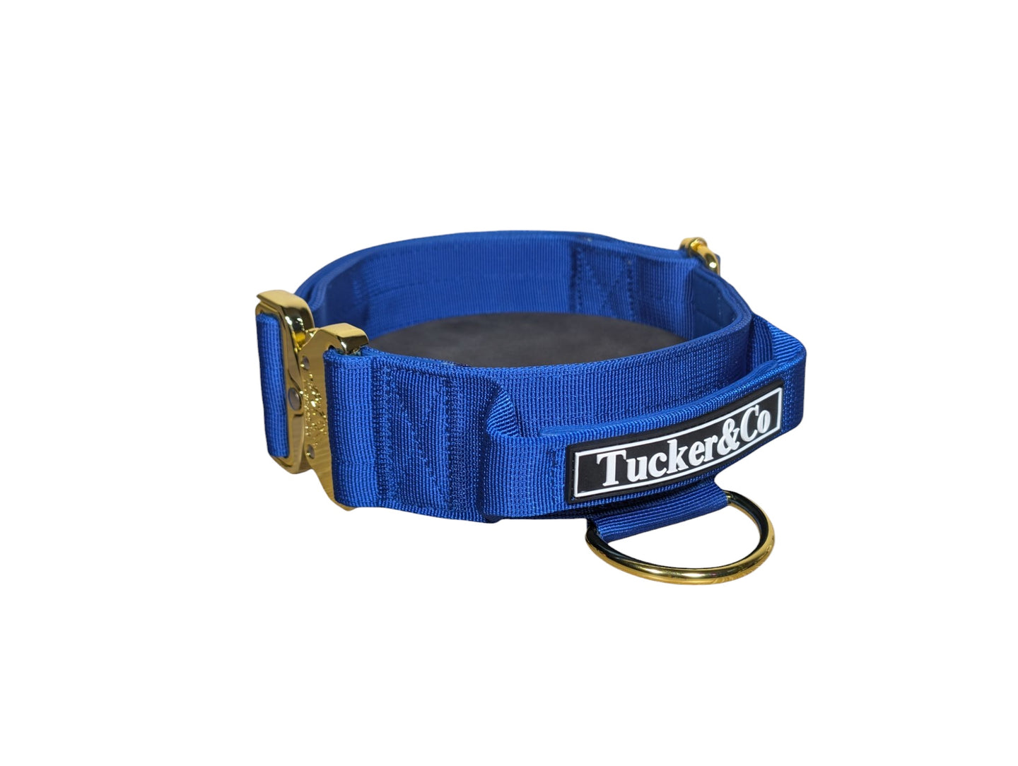 Tucker&Co Royal Blue/Gold Tactical Dog Collar.