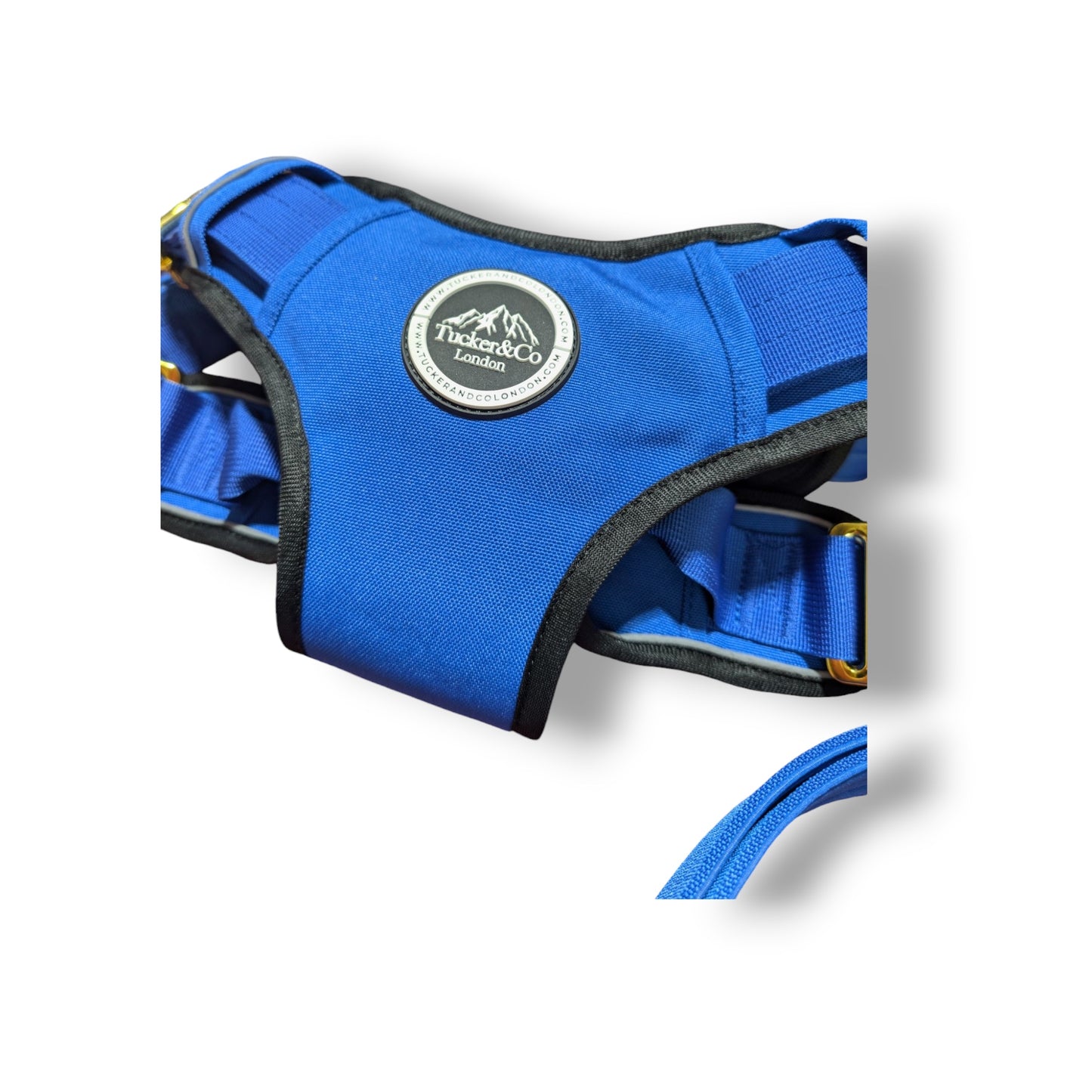 Tucker&Co Royal Blue Tactical Dog Harness.
