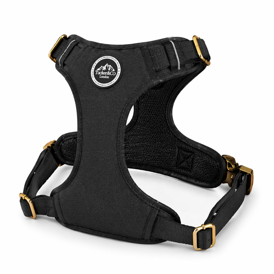 Tucker&Co Black/Gold Tactical Dog Harness.