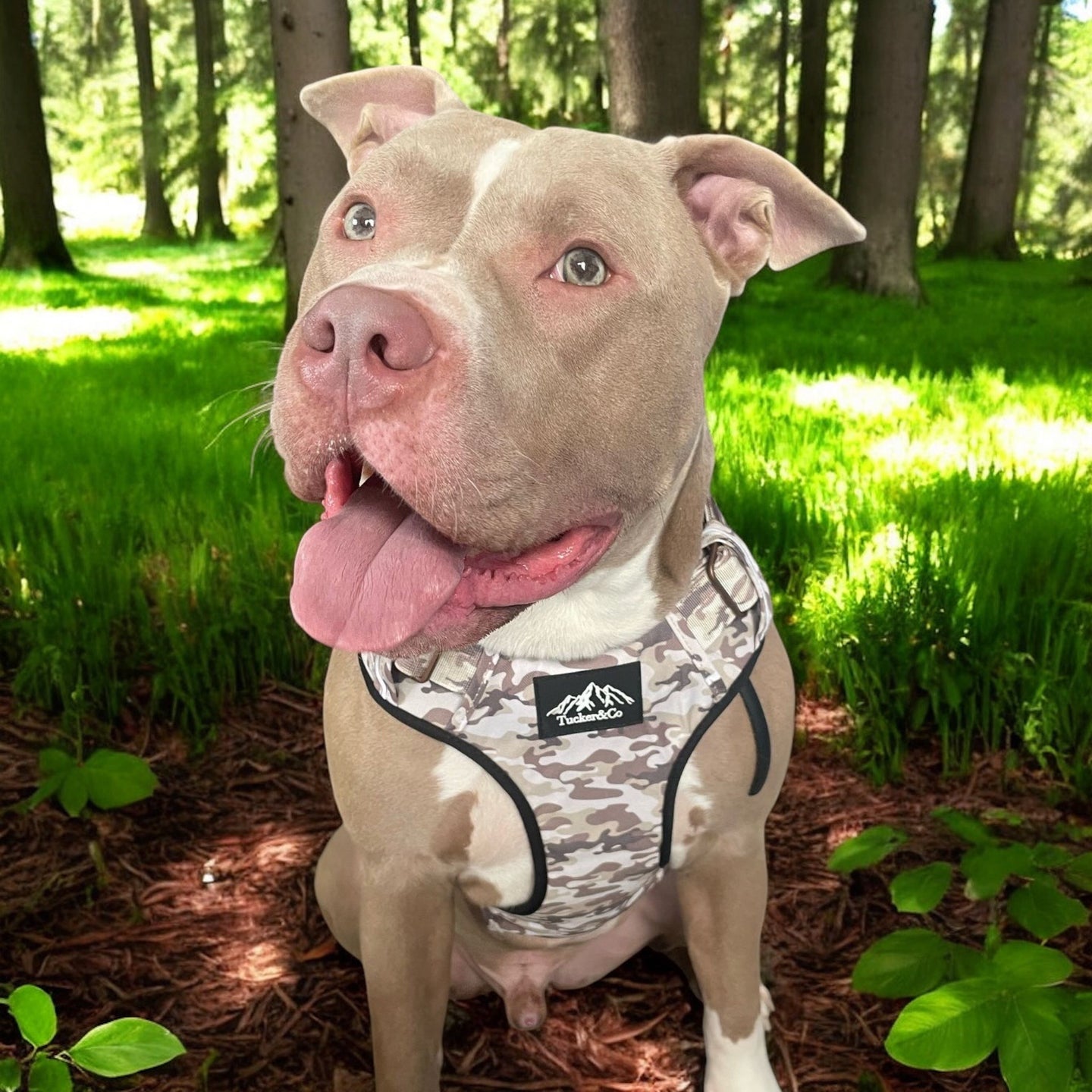 Tucker&Co Camo Desert 2024 Tactical Dog Harness.