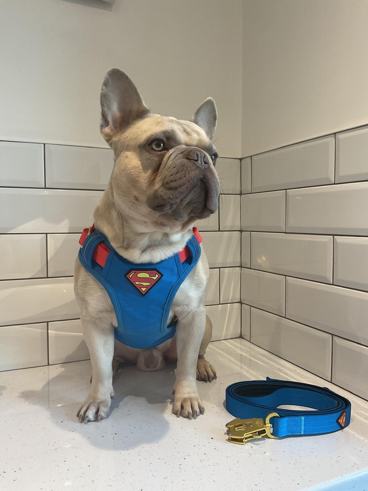 Tucker&Co Limited Edition Superman Full Set